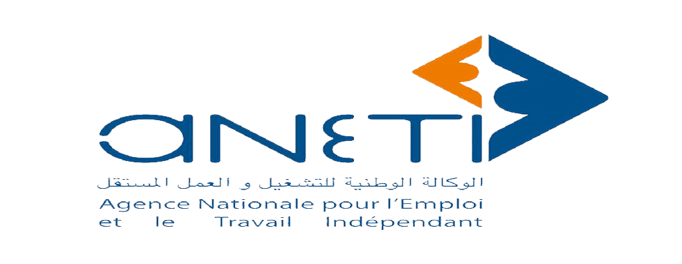 ANETI Logo